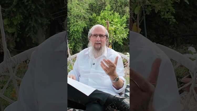 מה שרואים מהמרפסת שלך