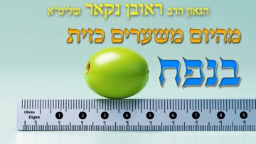 הגאון הרב ראובן נקאר שליט"א || מהיום משערים כזית בנפח