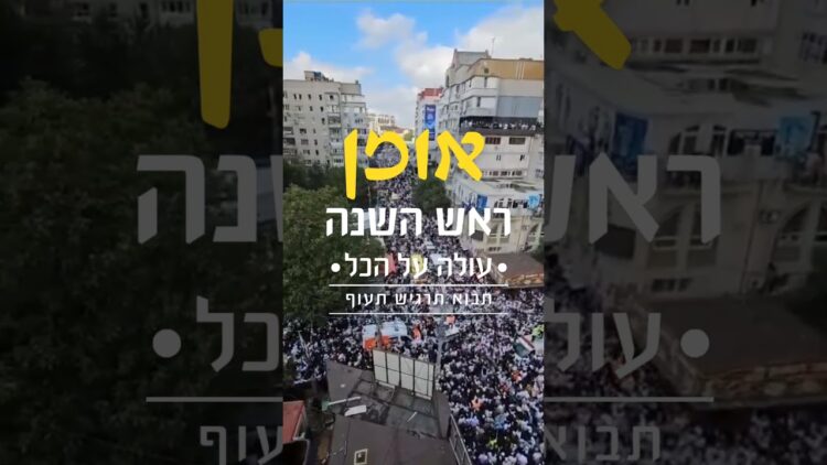 תבוא ותעוף