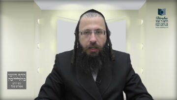 כדור משחק נתקע בין ענפי עץ – האם מותר להורידו