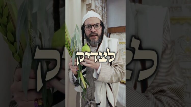 מה עושים בהושענא רבה