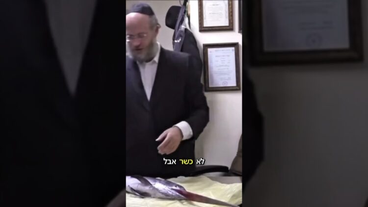 דג חרב כשר או לא? #כשר #דג