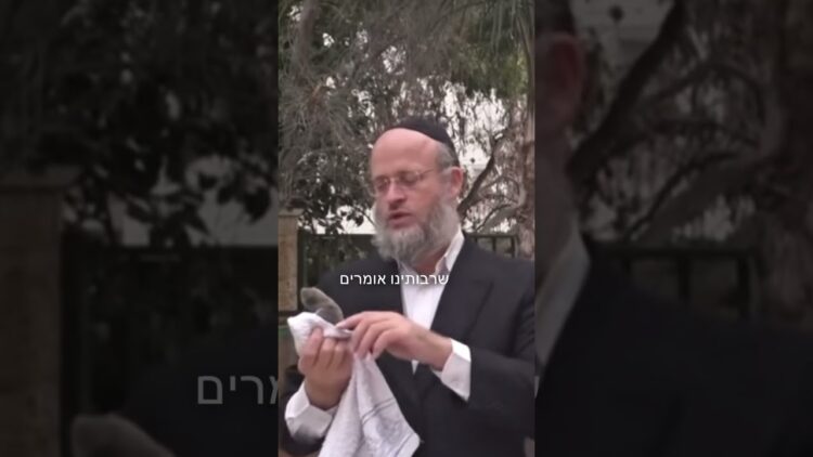 החלד שבתורה