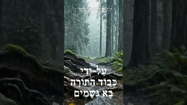 עַל-יְדֵי כְּבוֹד הַתּוֹרָה בָּא גְּשָׁמִים
