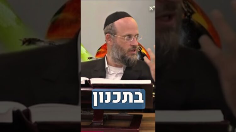 גם לג׳וק יש שר בשמיים #רוחניות #גלגולנשמות #אתיקהרוחנית