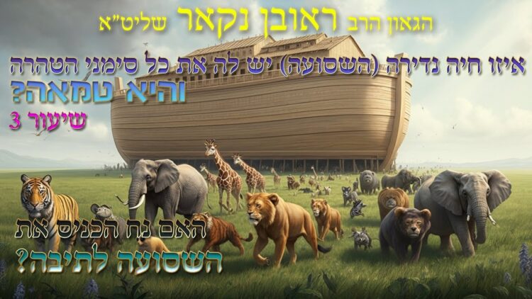 הגאון הרב ראובן נקאר שליט"א || איזו חיה נדירה יש