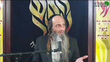 הרב מאור קריו זה מסתדר מצויין