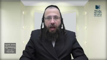 חפץ שנפל לרשות הרבים באיזה אופן אין איסור מדאורייתא להחזירו