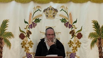 להשתחרר מרגשות אשמה