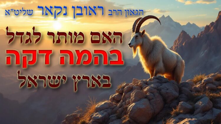 הגאון הרב ראובן נקאר שליט"א || האם מותר לגדל בהמה