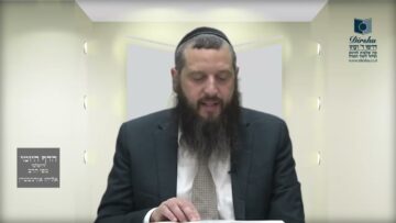 הדף היומי ירושלמי מסכת ביצה דף יא