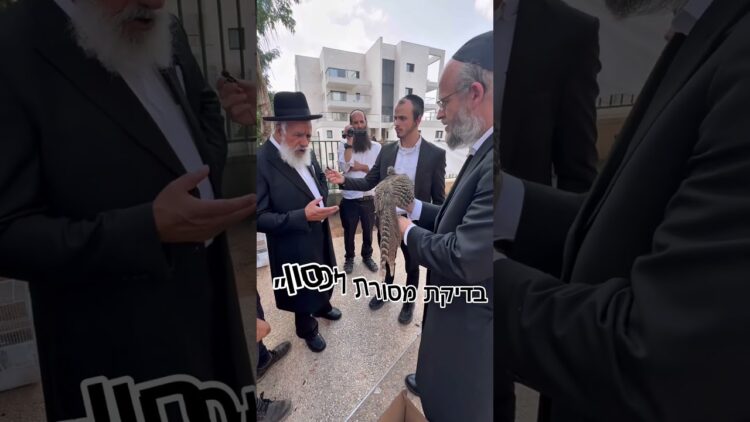 המפגש המלא בקישור !