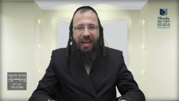 חצר בית שבמרכזה גינת ירק המוקפת במחיצות האם מותר לטלטל