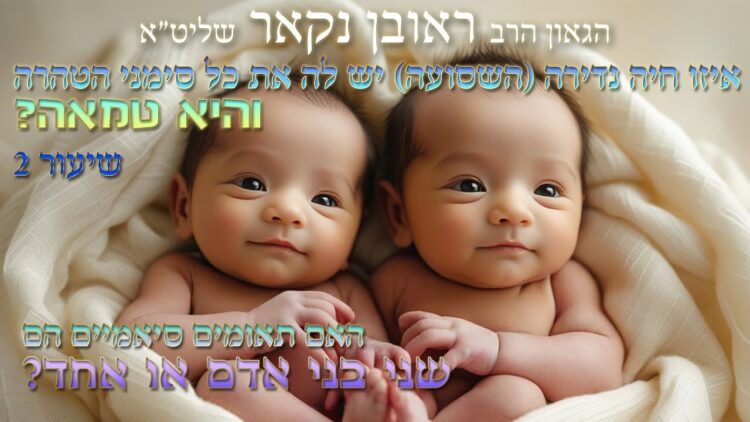 הגאון הרב ראובן נקאר שליט"א || איזו חיה נדירה יש