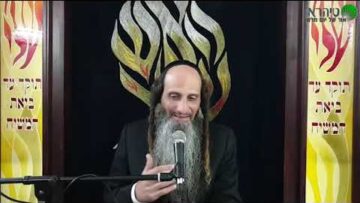 הרב מאור קריו זריזות מלאה בנחת