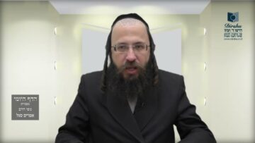 הדף היומי מסכת מנחות דף ס