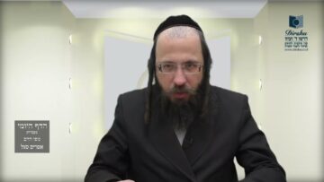 הדף היומי מסכת מנחות דף סג