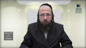 הדף היומי מסכת מנחות דף סו