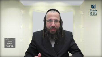 הדף היומי מסכת מנחות דף סט
