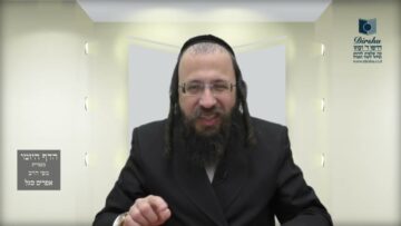 הדף היומי מסכת מנחות דף פב