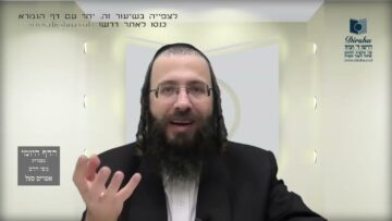 העמוד היומי בעברית מסכת שקלים דף ח עמוד א