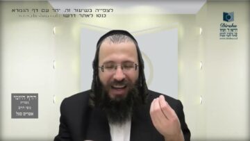 העמוד היומי בעברית מסכת שקלים דף ח עמוד ב