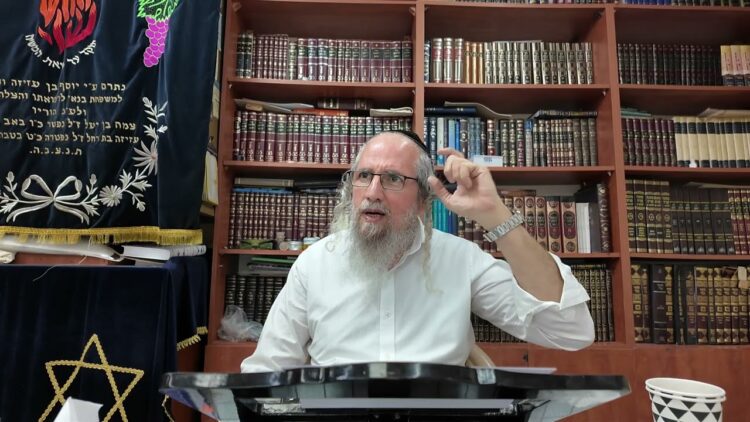 פרשת ויקרא. לוותר על השלמות