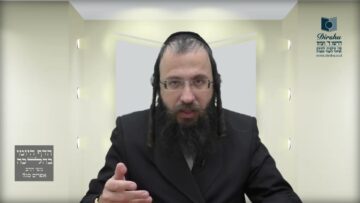 גג בית האם נחשב תמיד כרשות היחיד?- שע"ה א' -