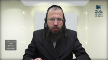 הדף היומי מסכת זבחים דף צג