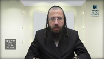 הדף היומי מסכת מנחות דף צא
