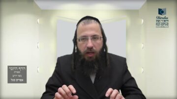 הדף היומי מסכת מנחות דף צו