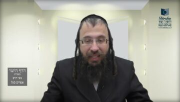 הדף היומי בעברית מסכת חולין דף יט
