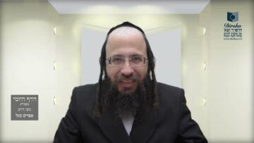 הדף היומי בעברית מסכת חולין דף כח