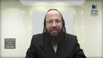 הדף היומי בעברית מסכת חולין דף כט