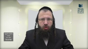 הדף היומי מסכת חולין דף ח