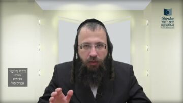 הדף היומי מסכת חולין דף יג