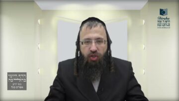 יהודי המטלטל מוקצה בפרהסיה האם דינו כמומר?- שפ"ה
