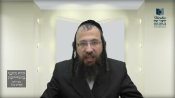 כיצד 'מחזיקים' דיירי חצר ברשות 'מבוטלת'?- שפ"א א' - ג'