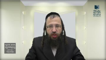 פקידים 'של כבוד' האם ניתן לשכור מהם את רשויות הגויים
