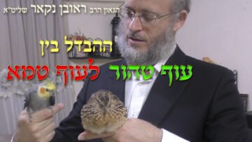 הגאון הרב ראובן נקאר שליט"א || ההבדל בין עוף טהור