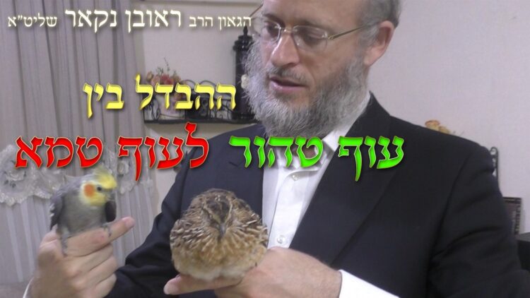 הגאון הרב ראובן נקאר שליט"א || ההבדל בין עוף טהור
