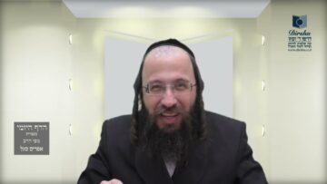 הדף היומי בעברית מסכת חולין דף לח