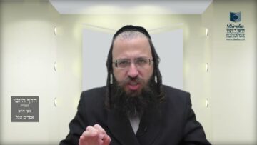 הדף היומי בעברית מסכת חולין דף נו
