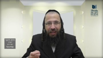 הדף היומי בעברית מסכת חולין דף נח