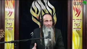 הרב מאור קריו הגות לבי תבונות