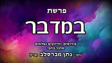 פרשת במדבר