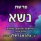 פרשת נשא