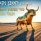 הגאון הרב ראובן נקאר שליט"א || סוד נשמת ירבעם בן