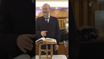 בדיקה למעשה של סימני כשרות לחגב.🦗