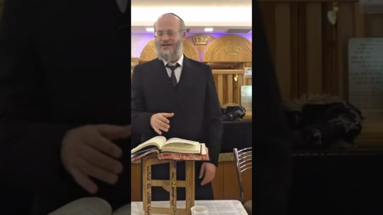 בדיקה למעשה של סימני כשרות לחגב.🦗
